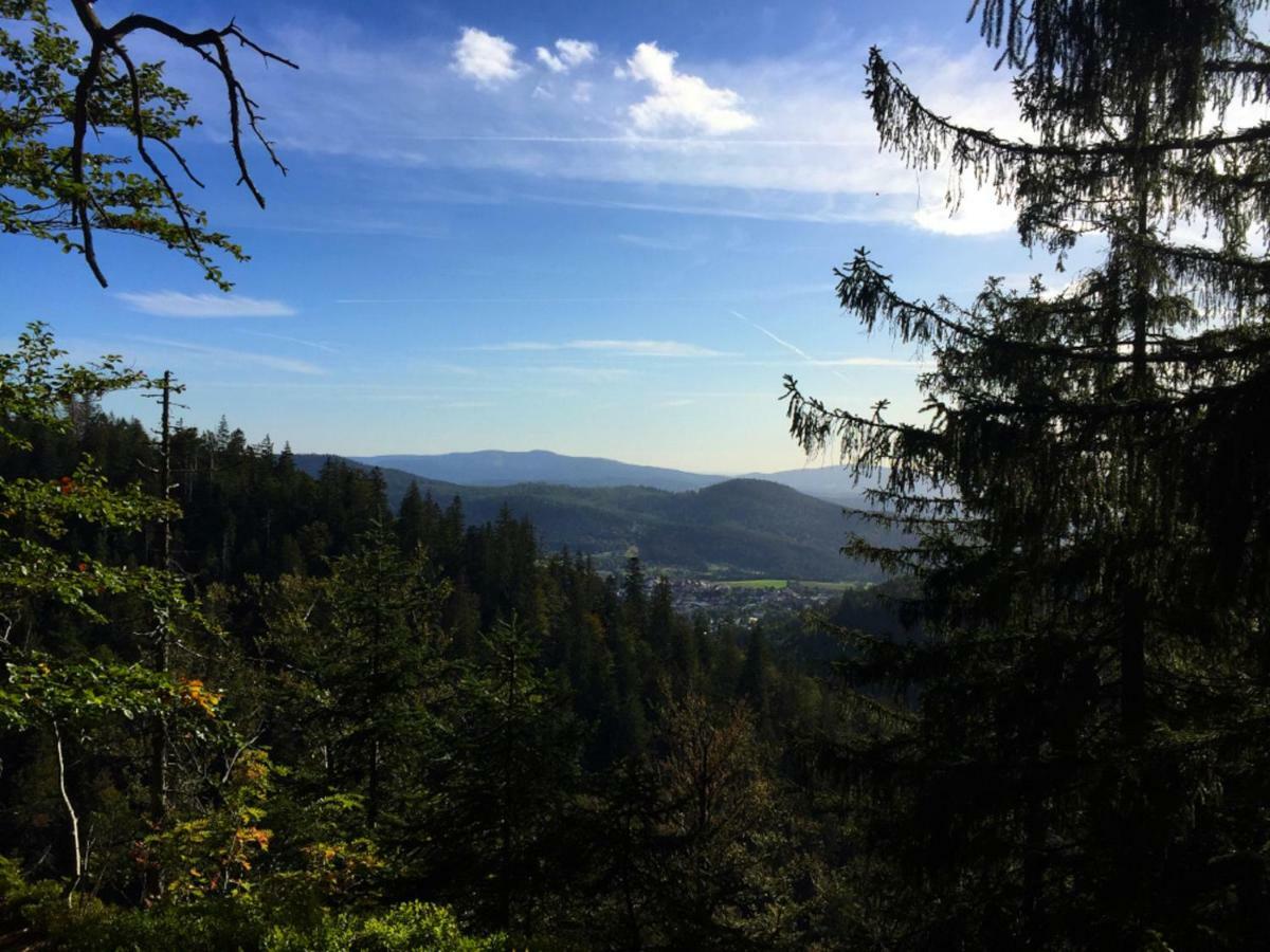 Ferienwohnungen Haus Elisabeth Bodenmais Luaran gambar